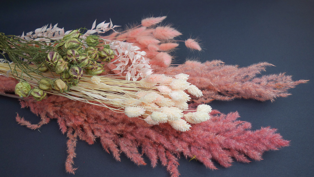 Trockenblumen Versand