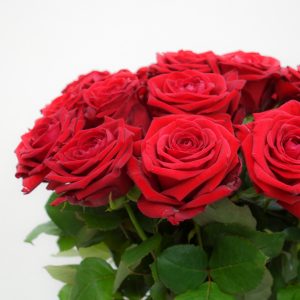MY LOVE