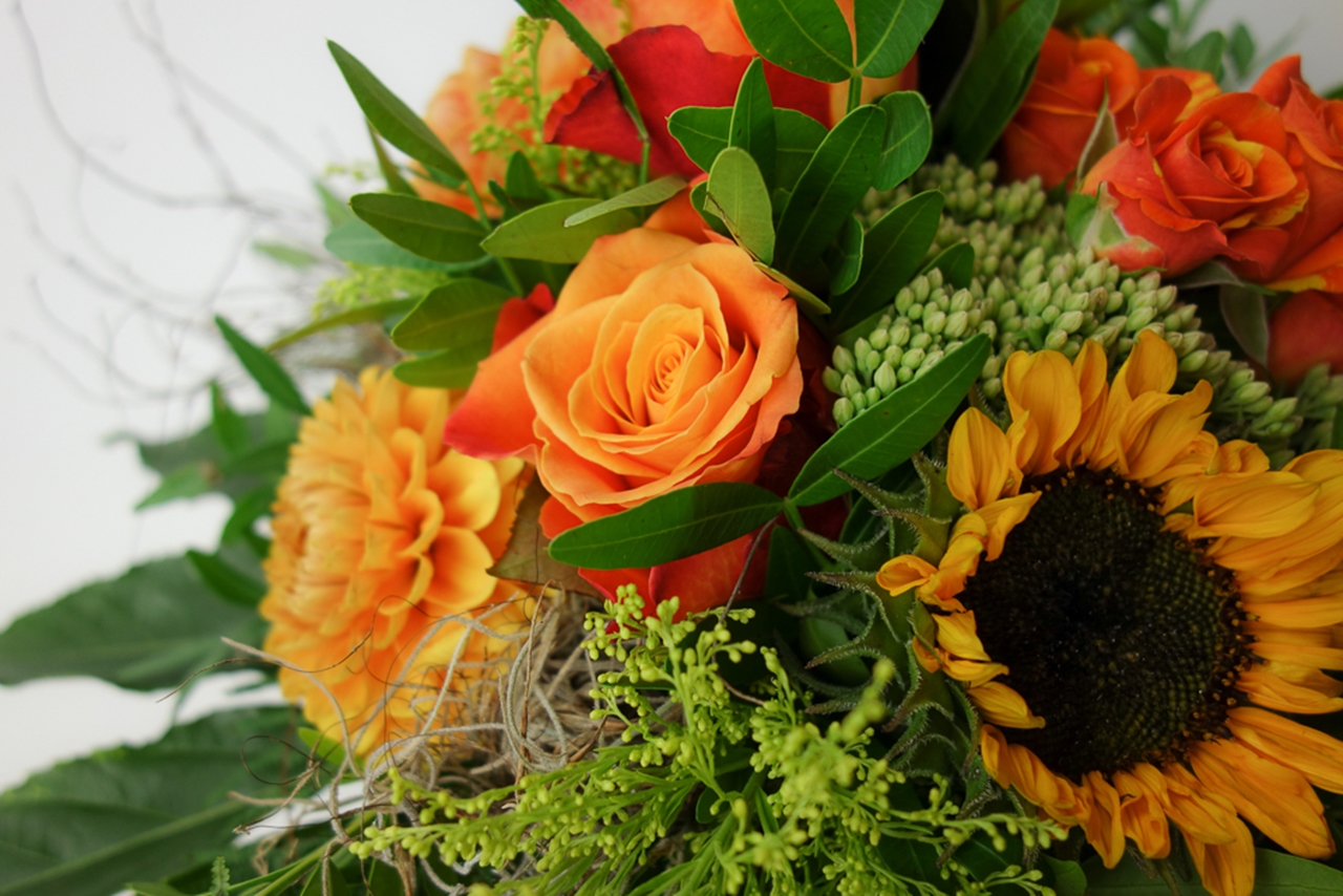 SONNENSCHEIN – Bild 4