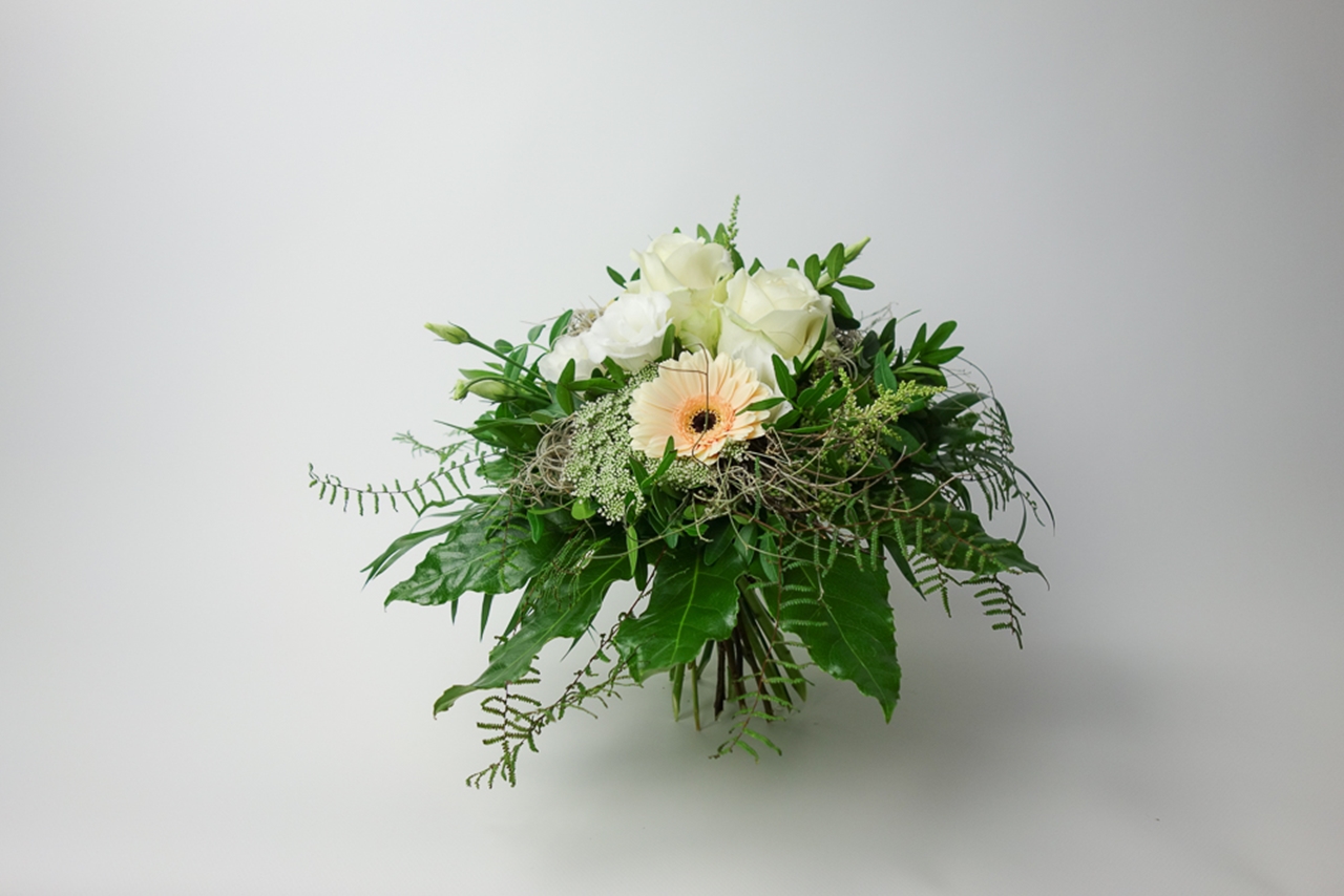 WHITE SPIRIT – Bild 3