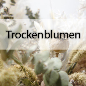 2. Trockenblumen