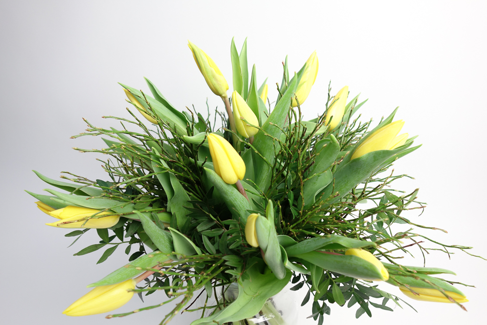 LICHTSTRAHL – Bild 3