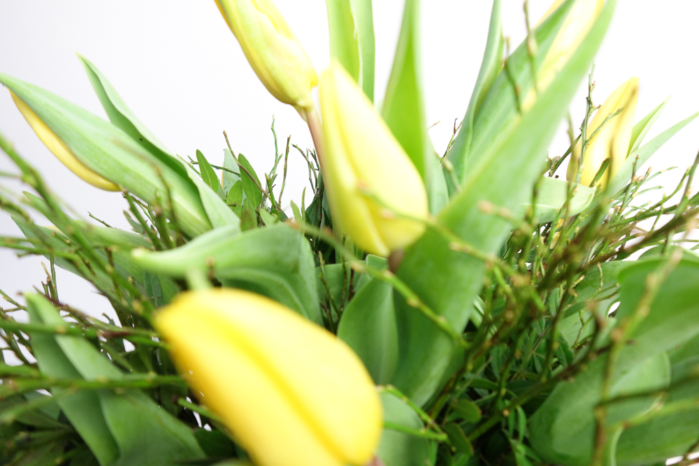 LICHTSTRAHL – Bild 4