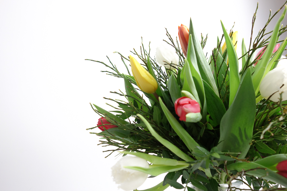 BUNTE TULPEN – Bild 4