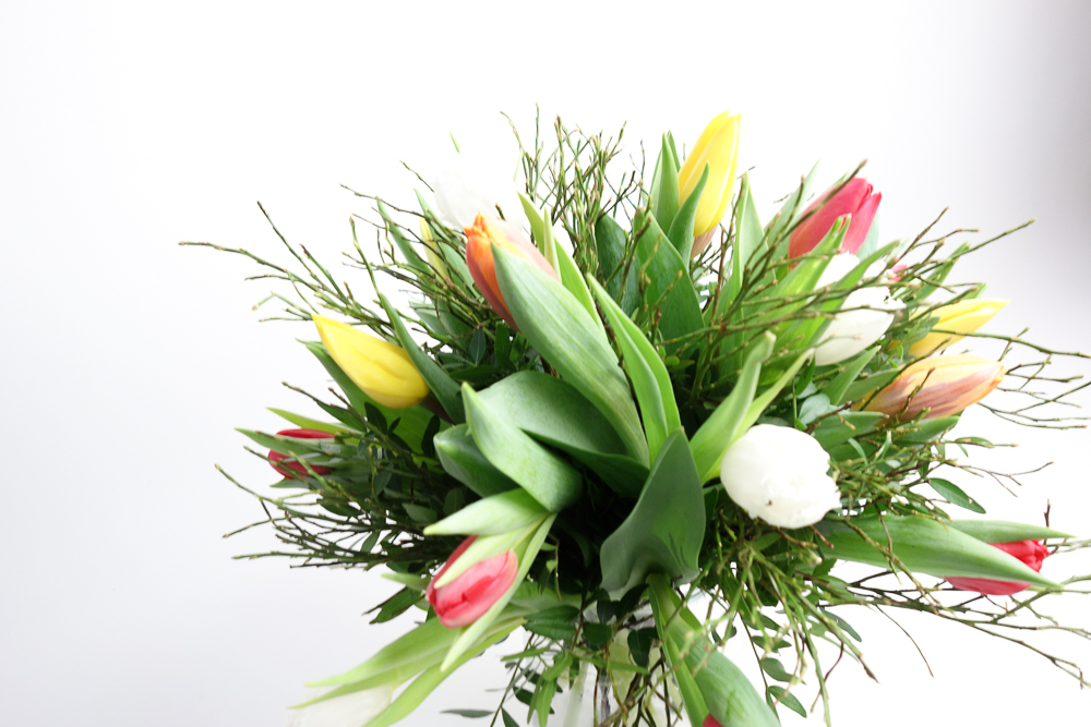 BUNTE TULPEN – Bild 5