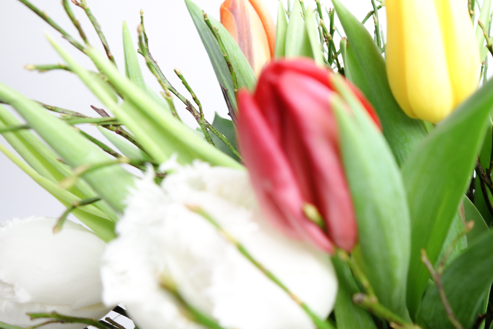 BUNTE TULPEN – Bild 6