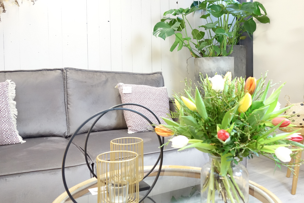 BUNTE TULPEN – Bild 7