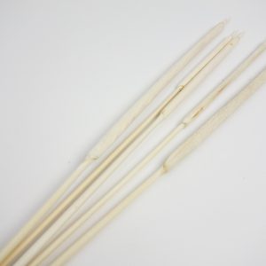 Typha / Schilfkolben