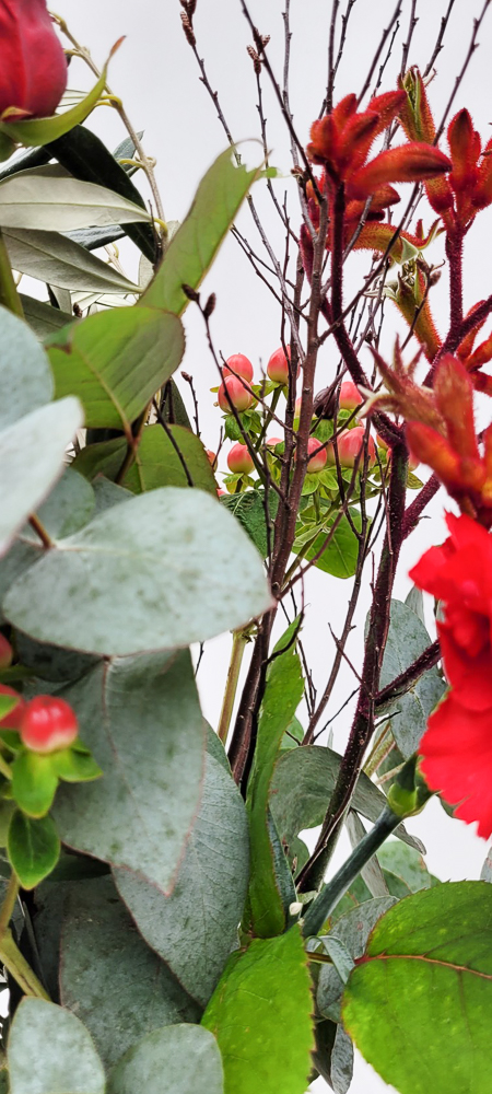 Burgundy – Bild 6
