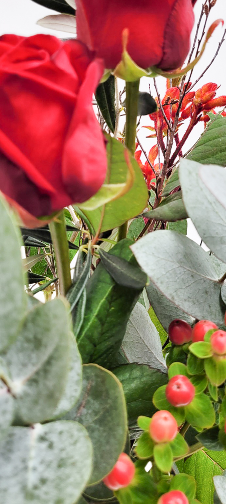 Burgundy – Bild 7
